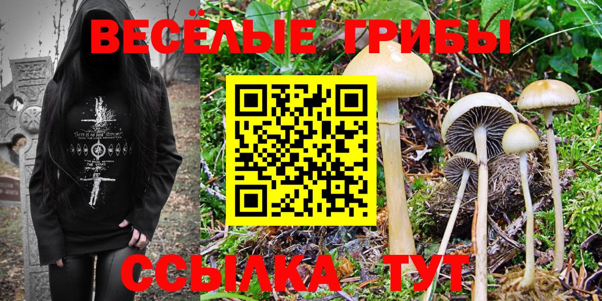 Галлюциногенные грибы GOLDEN TEACHER Рязань