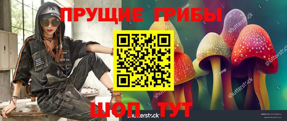 Псилоцибиновые грибы Magic Shrooms  Псилоцибиновые грибы мицелий  Вход с VPN  где продают наркотики  Рязань 